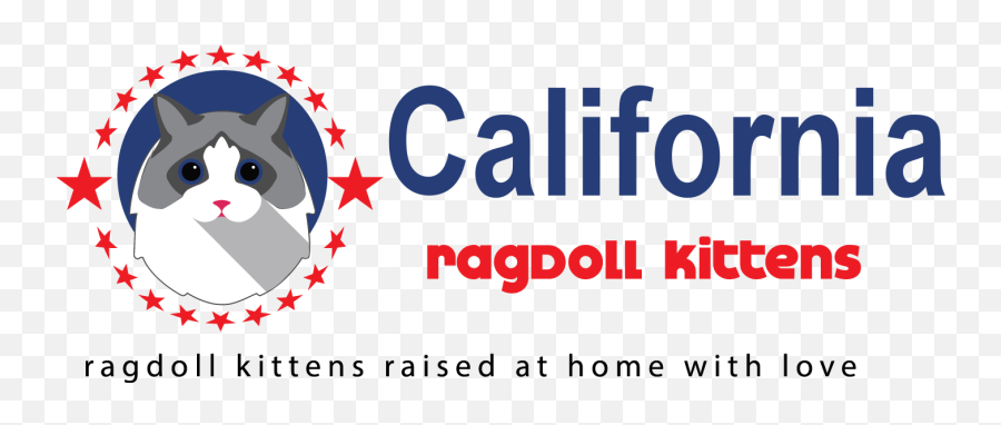 Ragdoll Kittens For Sale Ca - California Paint Png,Ragdoll Logos