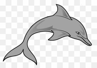 Png Pin Gray Clipart Ocean Animal - Animal Living Things Clipart,Ocean Clipart Png