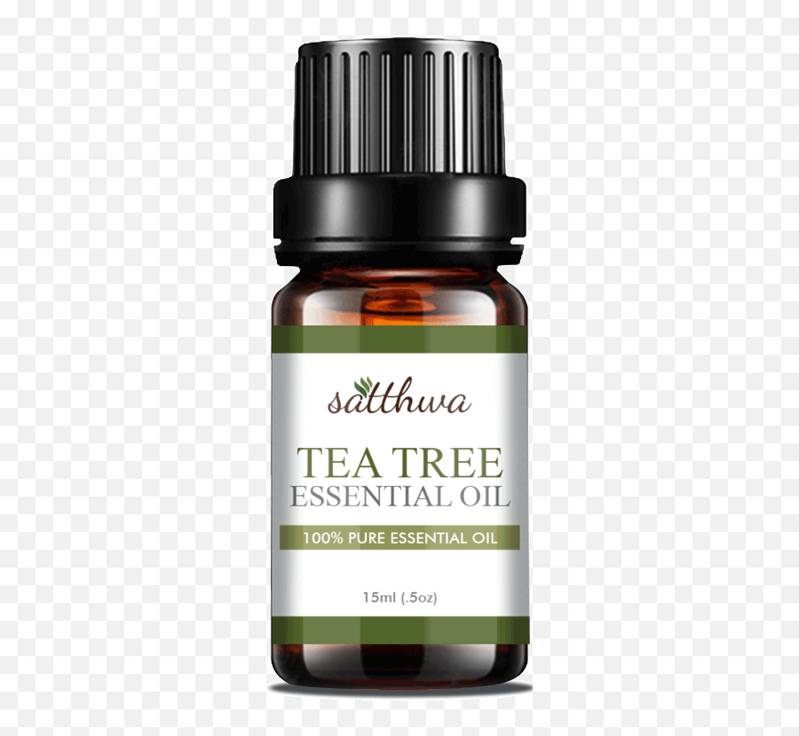 21 Uses Of Tea Tree Oil You Need To Know Featuring Satthwa - Essential Oil Png,Essential Oil Png