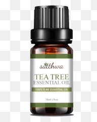 21 Uses Of Tea Tree Oil You Need To Know Featuring Satthwa - Essential Oil Png,Essential Oil Png