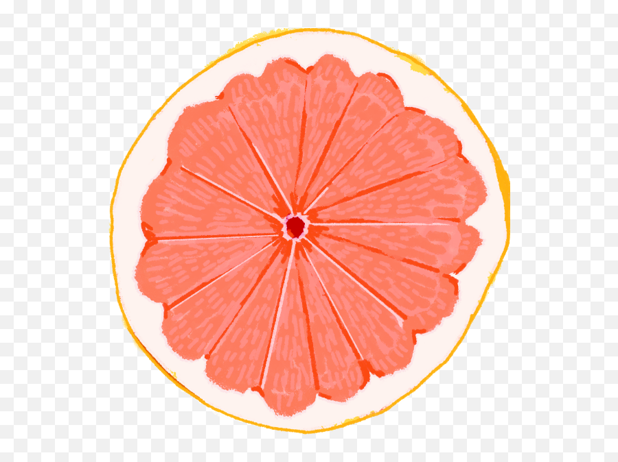 Free Online Grapefruit Orange Fruit Food Vector For - Cafedirect Png,Grapefruit Icon