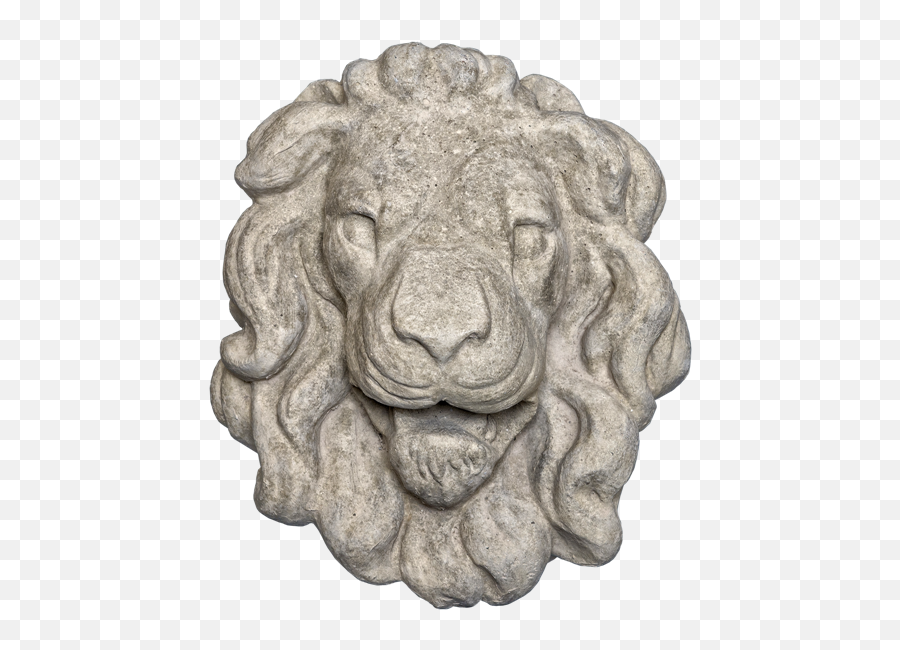 Lion Head 3 - Gray Color Smooth Texture Web Version Masai Lion Png,Lion Head Transparent