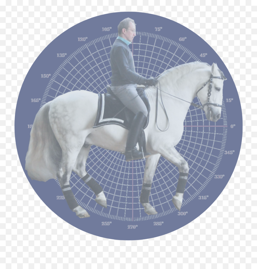 The Dressage Biomechanics Framework - Restuarant Png,Horse Rider Icon