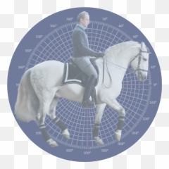 The Dressage Biomechanics Framework - Restuarant Png,Horse Rider Icon