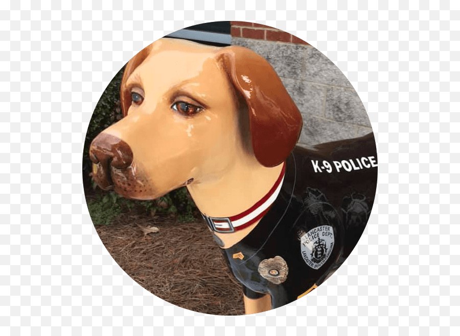 Paws - Martingale Png,Alpha Icon Dog Clothes