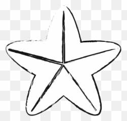 Star Fish Icon - Canva Estados Unidos Mapa Animado png