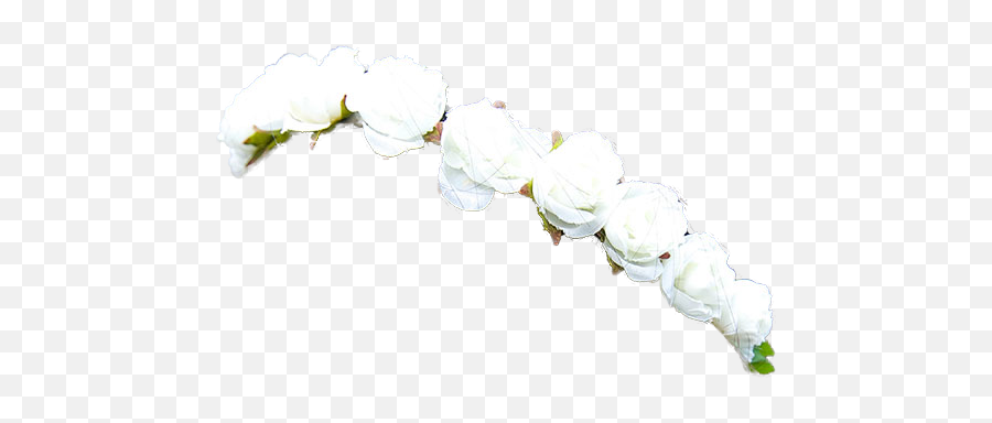 Flower Crown New 206 Crowns Png Tumblr - White Flowers Crown Png,Tumblr Transparent Png