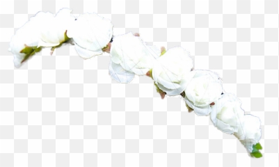 Flower Crown New 206 Crowns Png Tumblr - White Flowers Crown Png,Tumblr Transparent Png