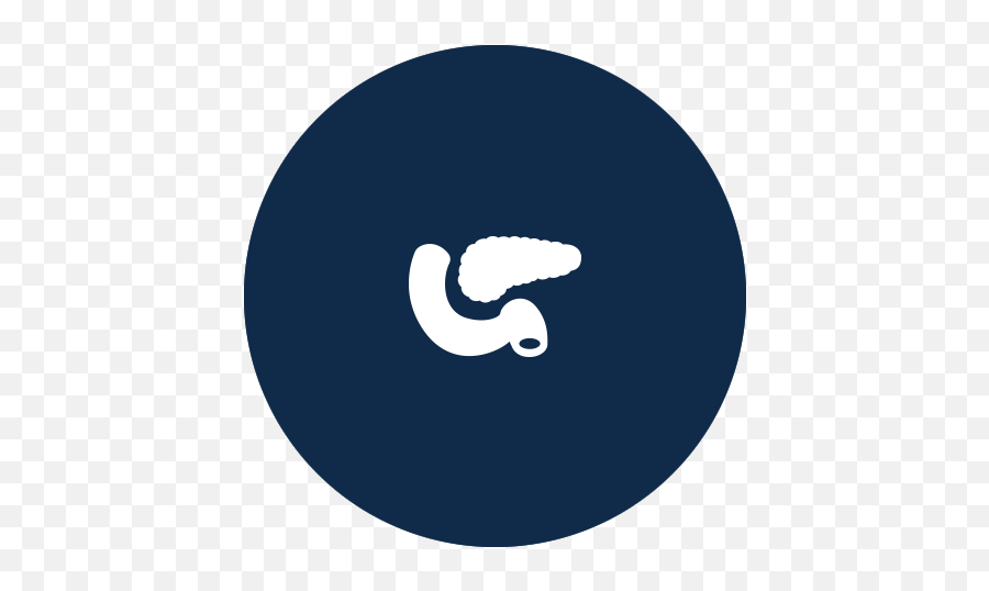 British Transplantation Society Png Pancreas Icon