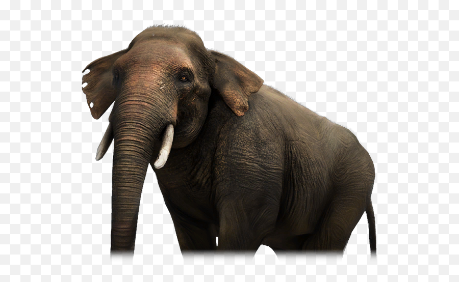 Elephant - Far Cry 4 Elephant Png,Far Cry 4 What Key Is The Icon That Looks Like A House