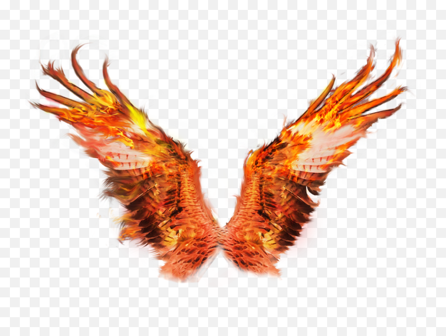 Download Wings Tigers - Fire Wing Png Transparent Png Image Fire Wings Png,Wings Png Transparent