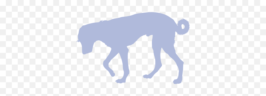 Behaviour The Fairydogmother - Ancient Dog Breeds Png,Icon Devil Dog