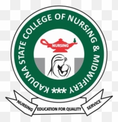 Kaduna State College Of Nursing U0026 Midwifery Kscnm Basic - Navy Air Traffic Controller Png,Lg Esteem Icon Glossary