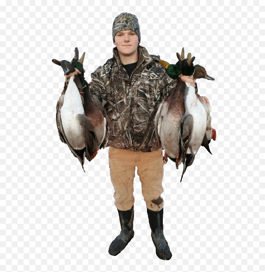 Duck Hunting Guides In Minnesota - Canada Goose Png,Duck Hunt Png
