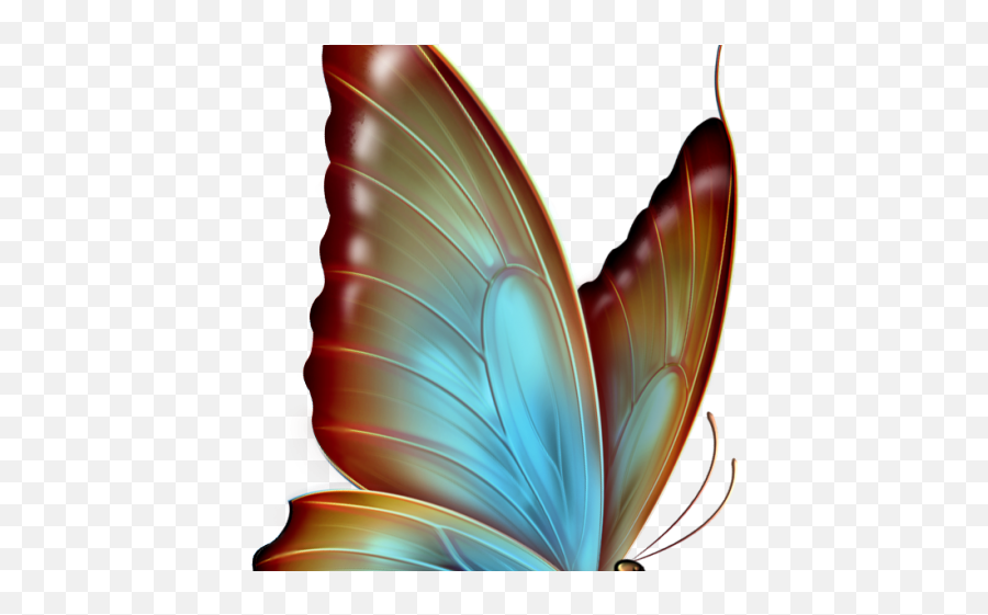 Rainbow Butterfly Clipart White Background - Butterfly Butterflies Png Images Download,Rainbow Clipart Transparent Background