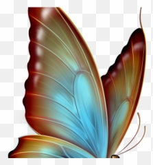 Rainbow Butterfly Clipart White Background - Butterflies Png Images Download