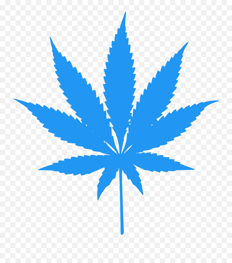 Download Hd Png - Dark Green Weed Leaf Transparent Cannabis Png,Weed Leaf Transparent