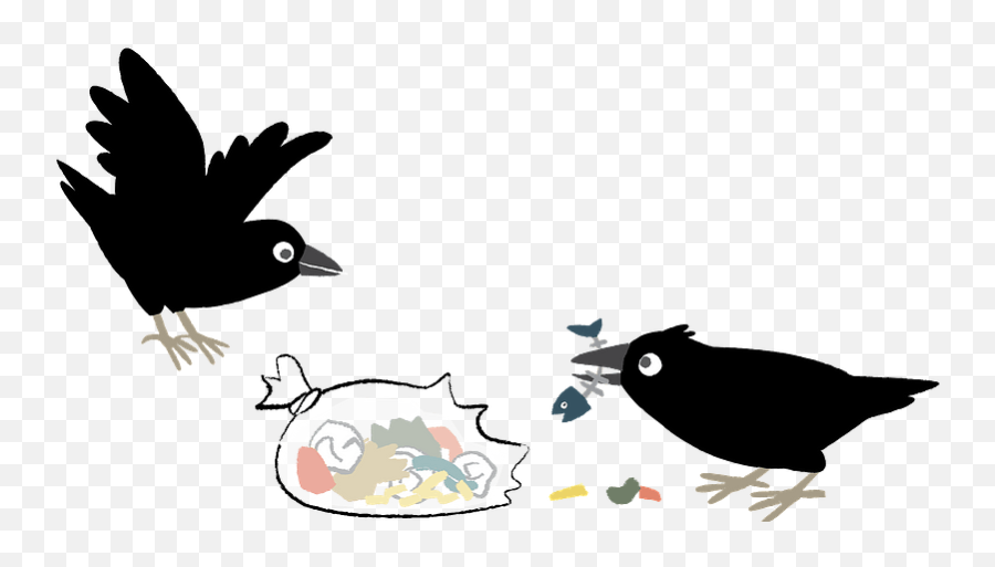 Crows Birds Garbage Clipart Free Download Transparent Png