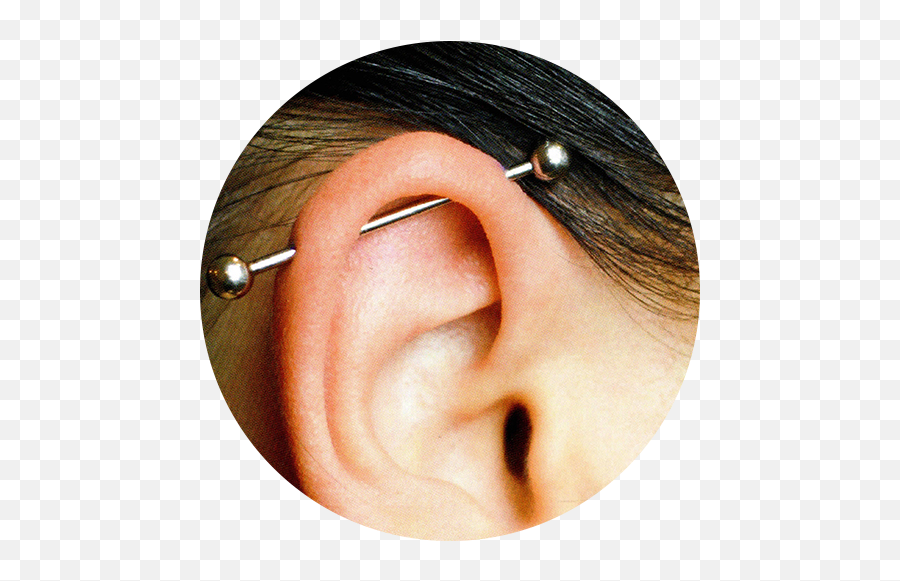 Industrial Ear Piercing Styles - Industrial Types Of Ear Piercings Png,Transparent Piercing