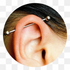 Industrial Ear Piercing Styles - Types Of Piercings png