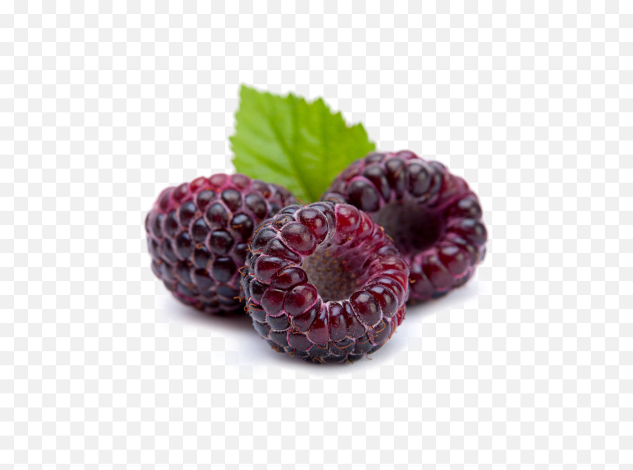 Download Raspberry Png Image Background Raspberries