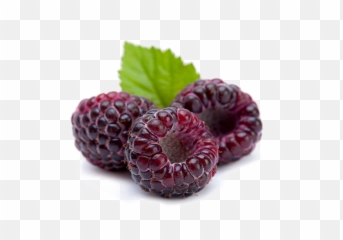 Download Raspberry Png Image Background Raspberries