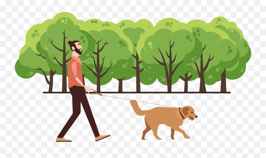 People Walk Png - Walking Dog In Park Clipart,Park Png