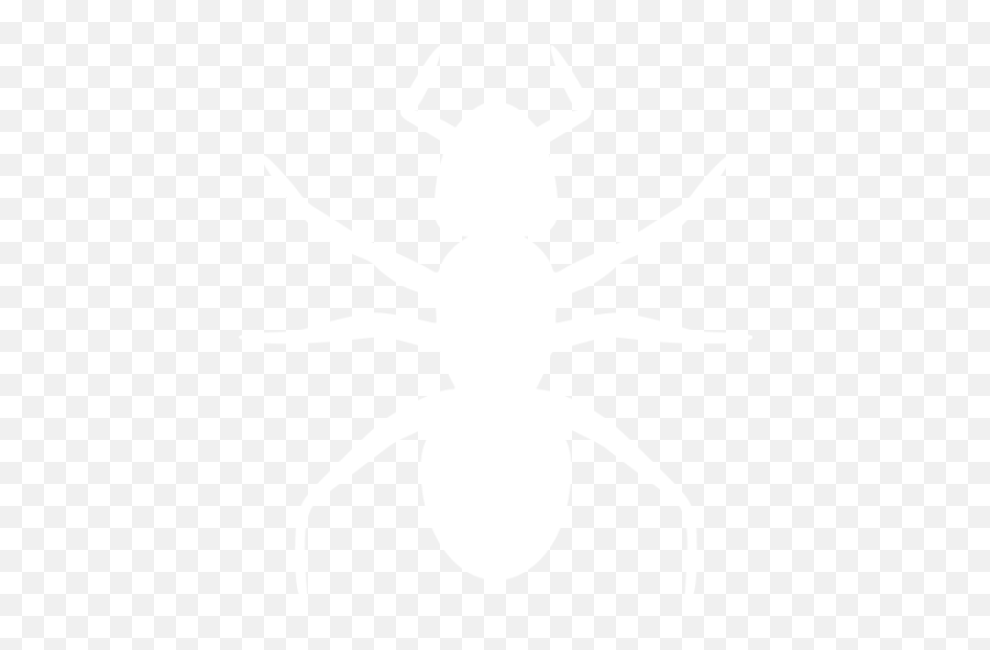 White Ant 3 Icon - White Ant Icon Png,Ant Transparent