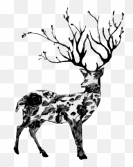 28 Images About Png - Christmas Shop Fredericksburg Tx,Deer Transparent