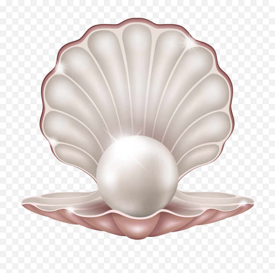 Beautiful Clam With Pearl Png Image - Aka Founders Day,Pearl Transparent Background