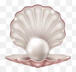 Beautiful Clam With Pearl Png Image - Aka Founders Day