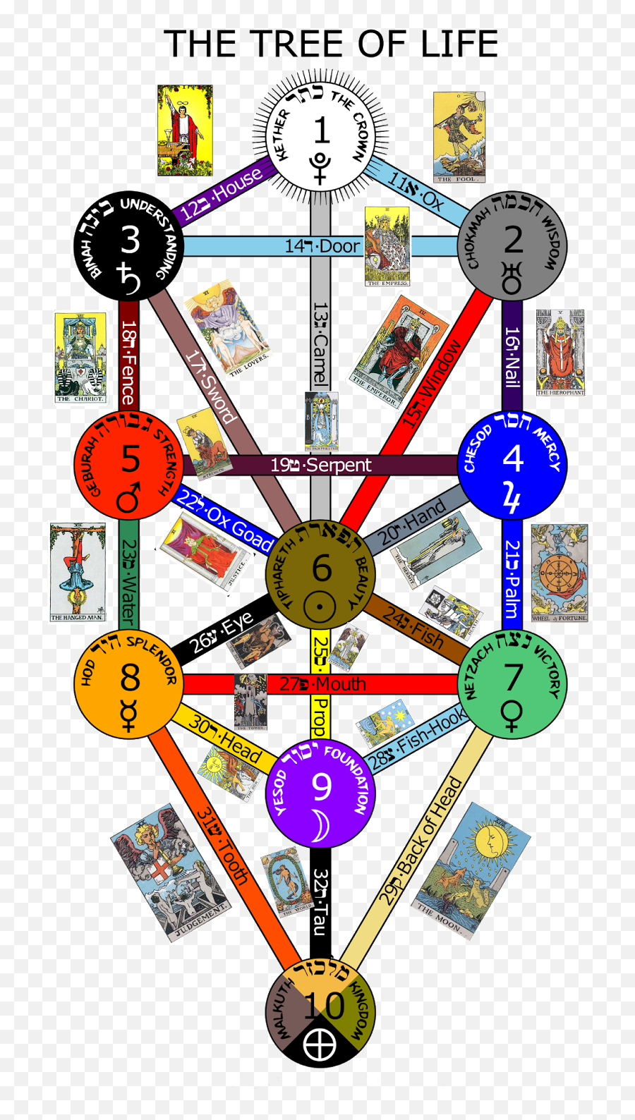 I Am A Fool Tom Iu0027ve No Doubt About That - Tarot Cards Kabbalah Tree Of Life Poster Png,Doubt Png