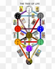 I Am A Fool Tom Iu0027ve No Doubt About That - Tarot Cards Kabbalah Tree Of Life Poster Png,Doubt Png