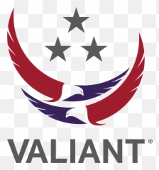 Ukrainian Uk Linguist Cat Ii Europe - Valiant Integrated Services Logo png