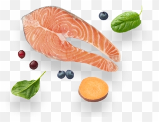 Freshpet Vital Grain Free Salmon Spinach U0026 Berries Dog Food Png Transparent
