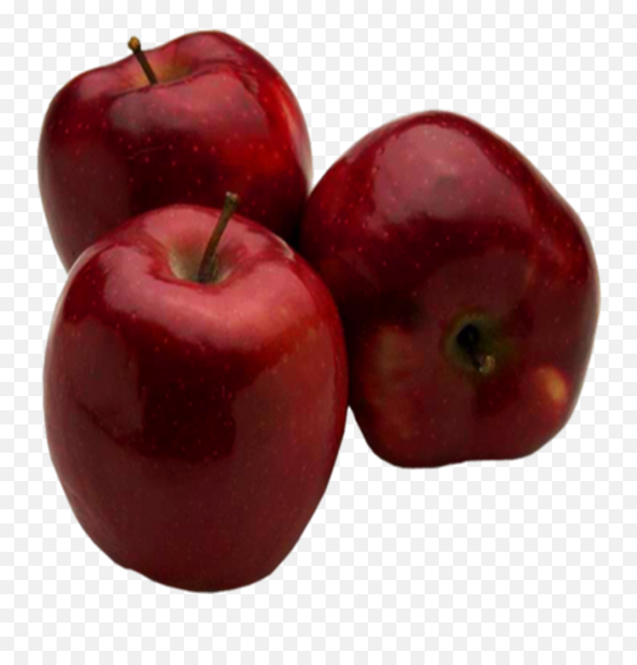 Download 3 Red Apple Psd 460366 - Apple Psd Png Image With Apple Psd,Red Apple Png