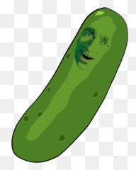Pickle Rick Emoji Discord - Ok Lol Discord Emojis Png,Shelley Hennig Png