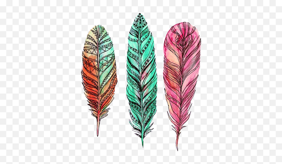Colourful Feather Drawing Png