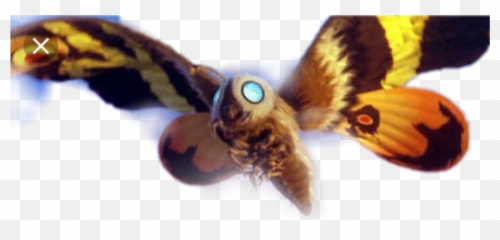 Download Godzilla Mothra - Mothra Lamp Png,Mothra Png