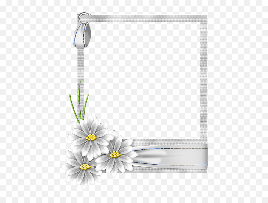 Download White Flower Frame Transparent Png - Free White Flower Frame Png,Flower Frame Transparent