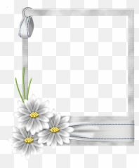 Download White Flower Frame Transparent Png - Free Png