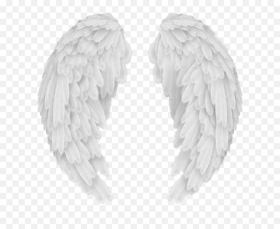Baby Angel Wings Png - Angel Wings Png Black Background,Angel Wings Icon For Facebook