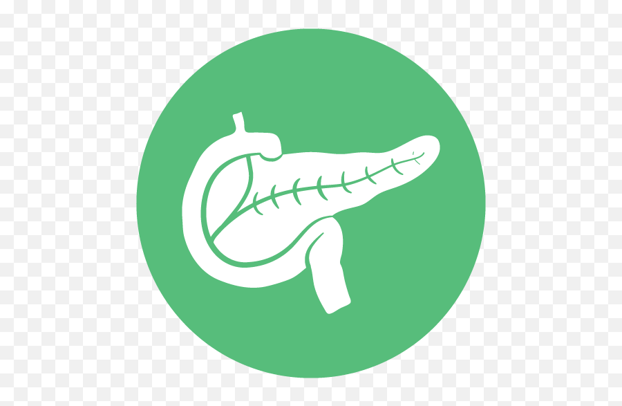 Post Png Pancreas Icon