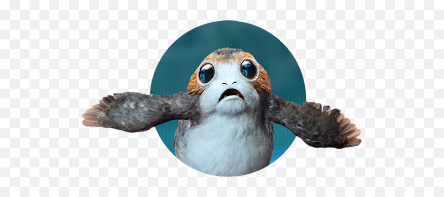 Magic Leap - Star Wars Porg Png,Porg Png