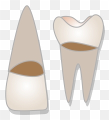 Cavities Symptoms Causes U0026 Tooth Fillings - Vertical png