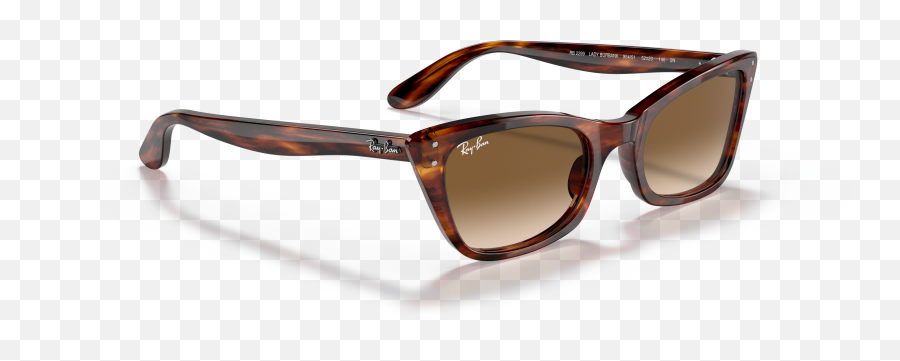 Ray - Ban Rb2299 Lady Burbank 52 Light Brown Gradient U0026 Havana Ray Ban Miss Burbank Png,Catlike Icon