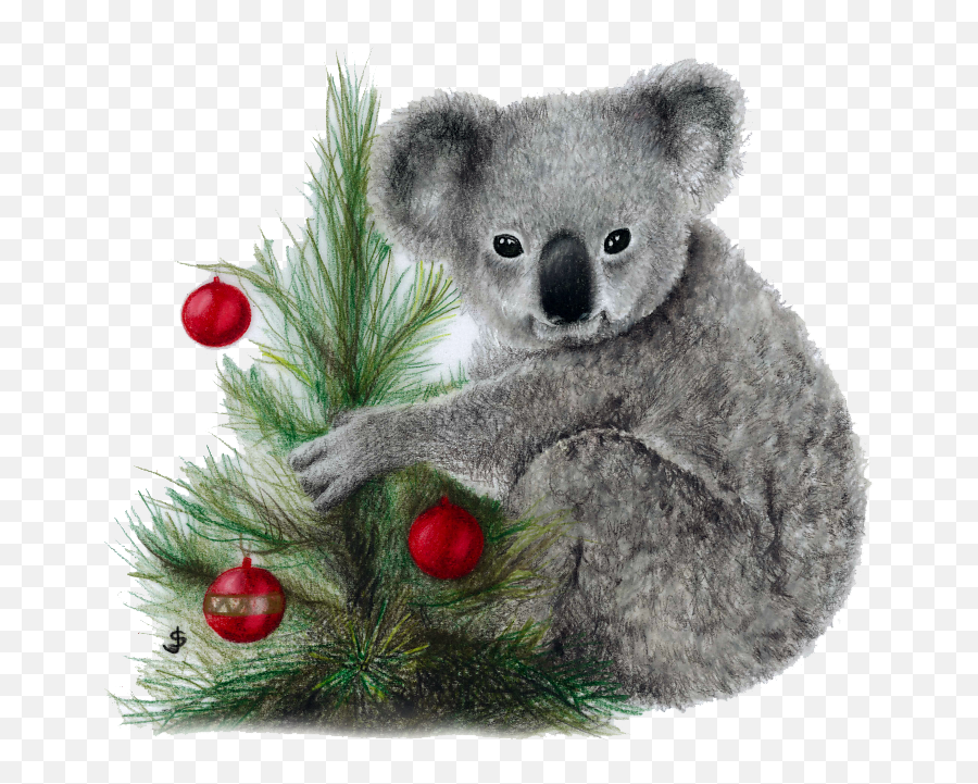 Koala Png Image Download