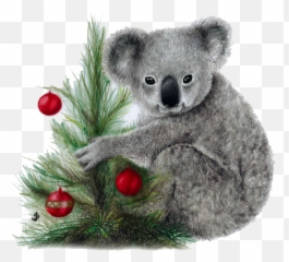 Koala Png Image Download
