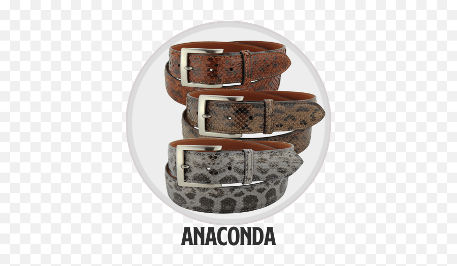 Shop Exotic Belts U2013 Bullhidebeltscom Png Anaconda Icon