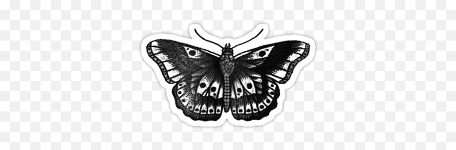 Harry Styles Butterfly Tattoo - Harry Styles Moth Tattoo Png,Butterfly Tattoo Png